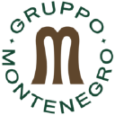 Gruppo Montenegro Logo